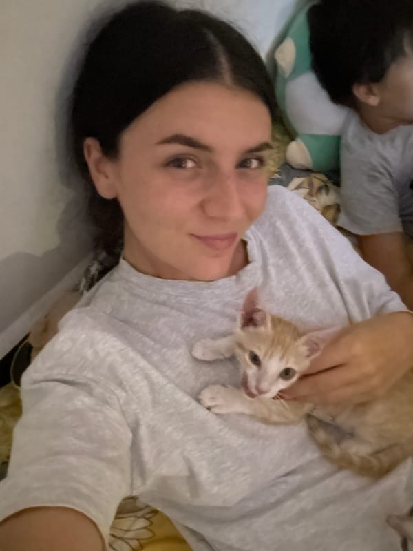 Lazy afternoon with kittens in Mũi Né