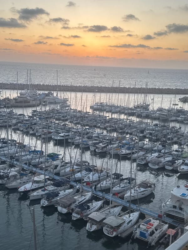 Sunset illuminates crowded Herzliya Marina with hundreds of boats