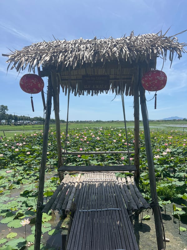 Lotus pond café stop in Hội An, Vietnam