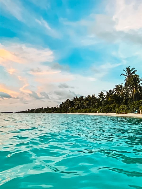 Tropical beach scenes captured in Radzymin, Poland