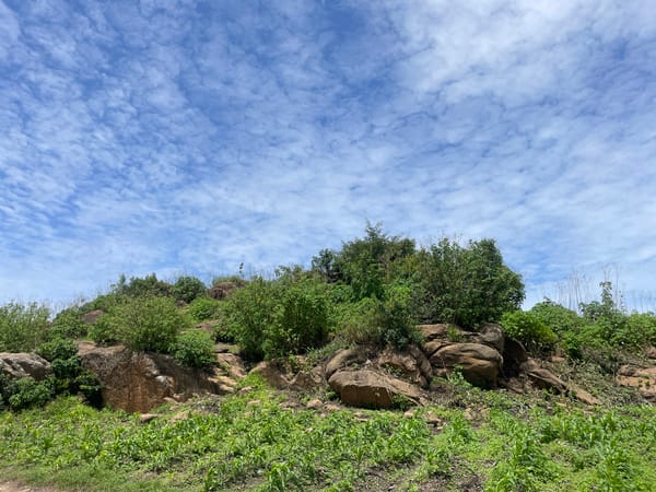 Rural village life: fields, roads, and outdoor activity