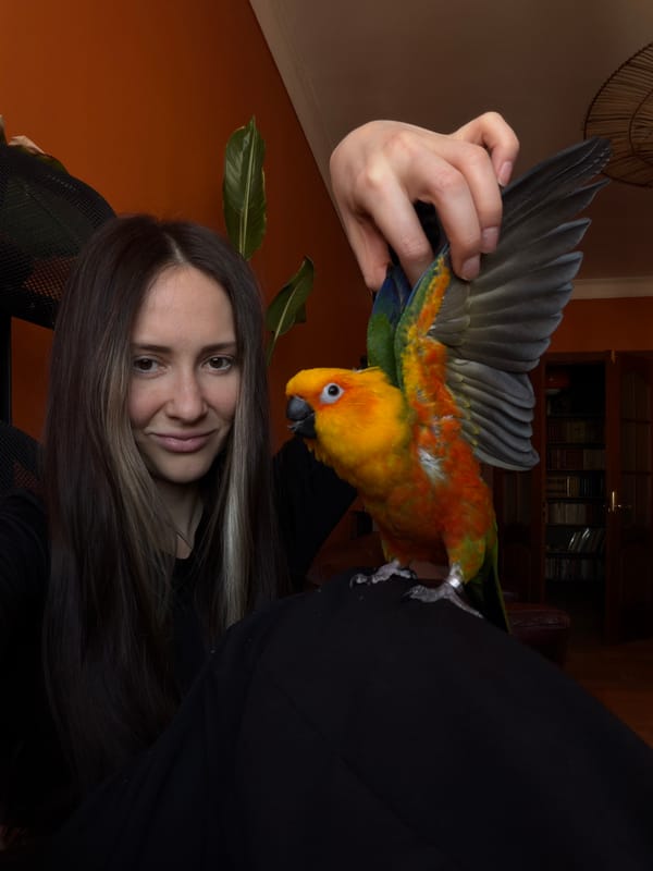 Woman bonds with Sun Conure parrot in Khimki home