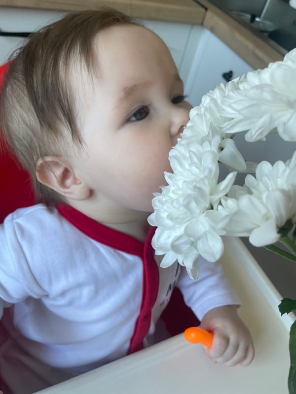 Baby and dog share quiet moment with white flowers