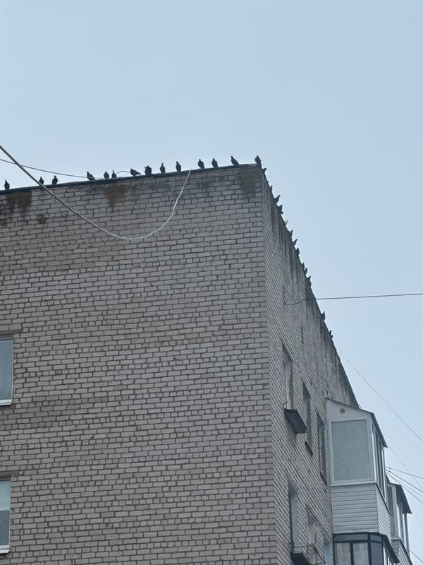 Early morning domestic life documented in Chaikovsky, Russia