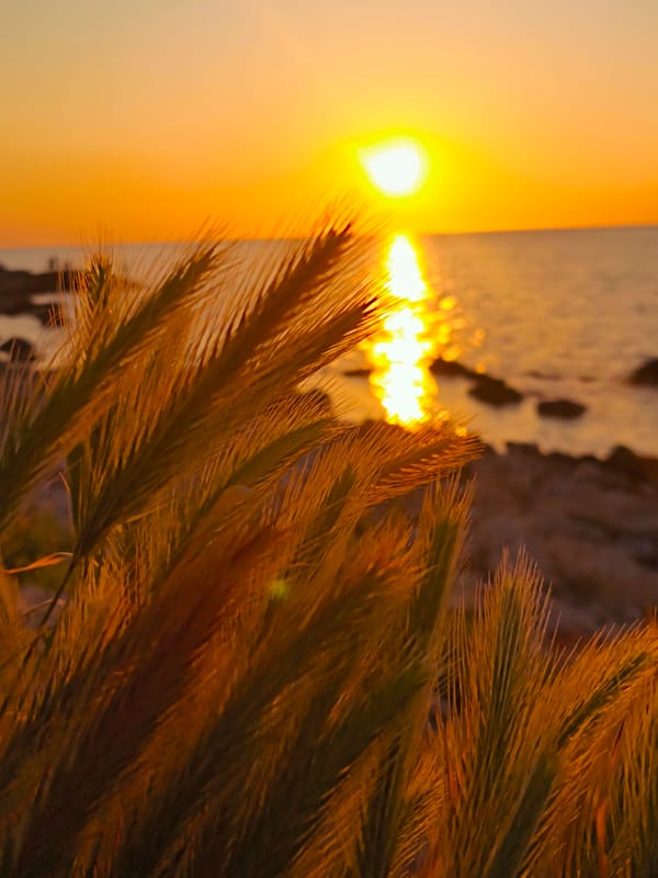 Golden hour documented along Sevastopol's Black Sea coastline