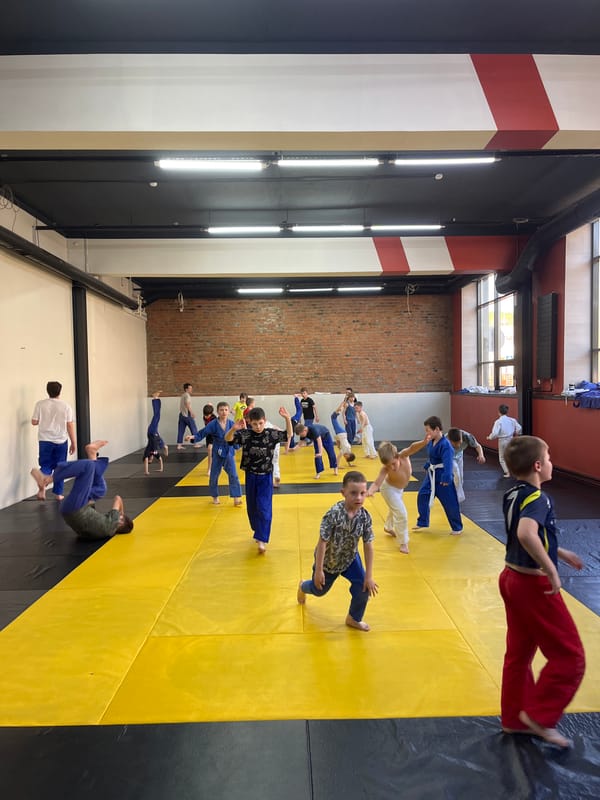 Children practice martial arts in Krasnoyarsk gymnasium