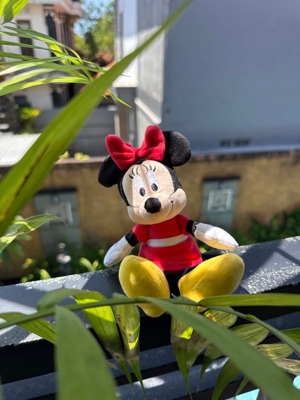 Minnie Mouse plush photographed around Kuta residential area