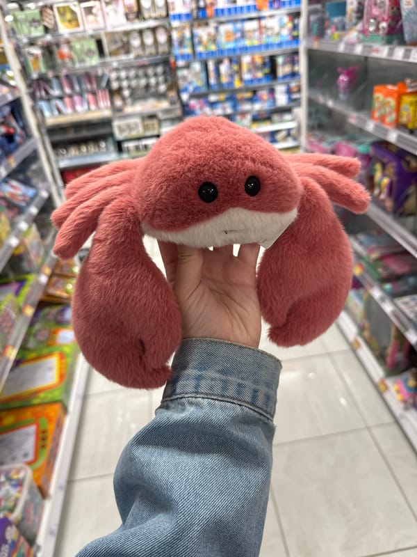 Person holds pink crab toy in Zagreb