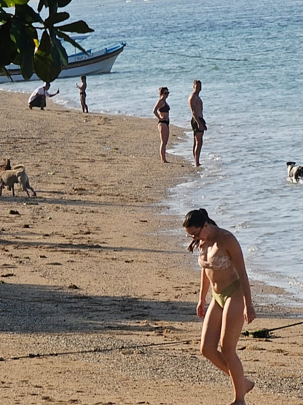 Balinese beach morning: pavilions, boats, dogs, and calm water