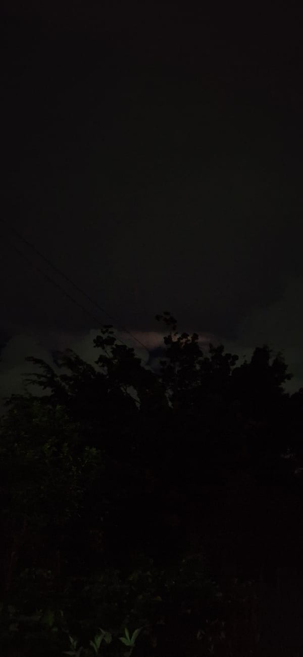 Lightning, roosting chickens, and mangoes on a stormy Venezuelan night