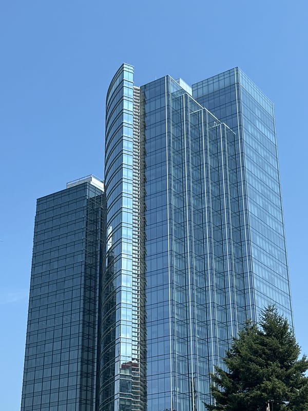 Station Square's twin towers rise over Burnaby skyline