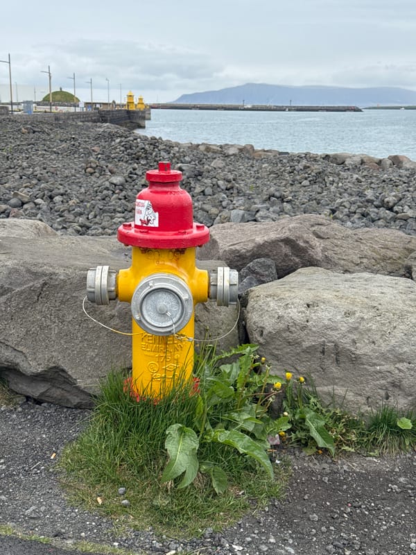 Cruise ship 'Mein Schiff' docked in Reykjavik harbor