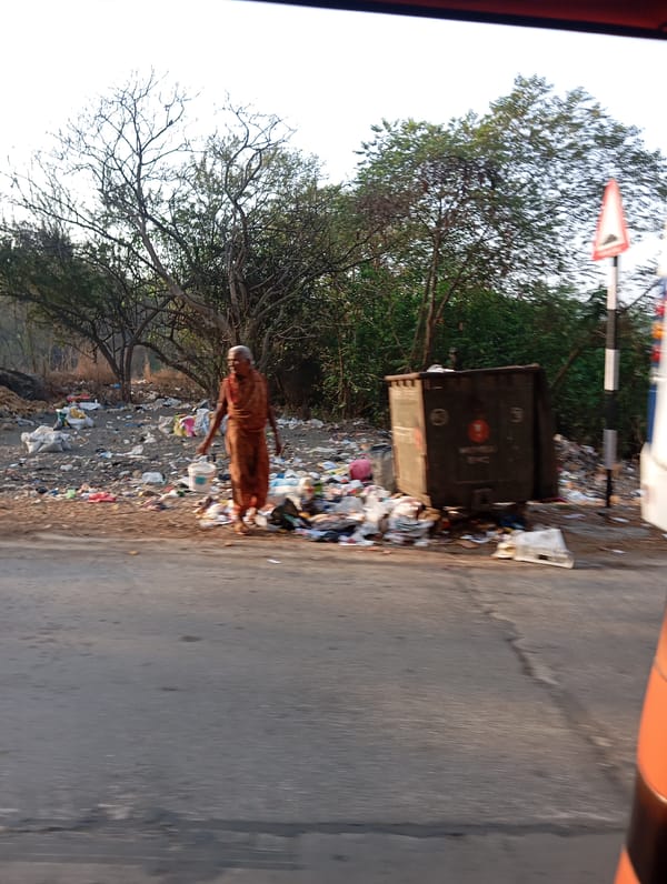 Early morning scene captures Mumbai street conditions, waste issues