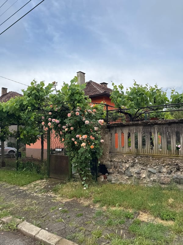 Morning documentation captures diverse scenes around Yana, Bulgaria