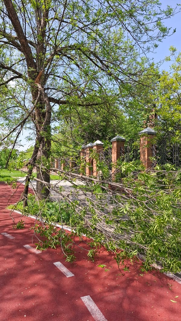 Morning scenes documented around Catherine Cathedral in Tsarskoye Selo