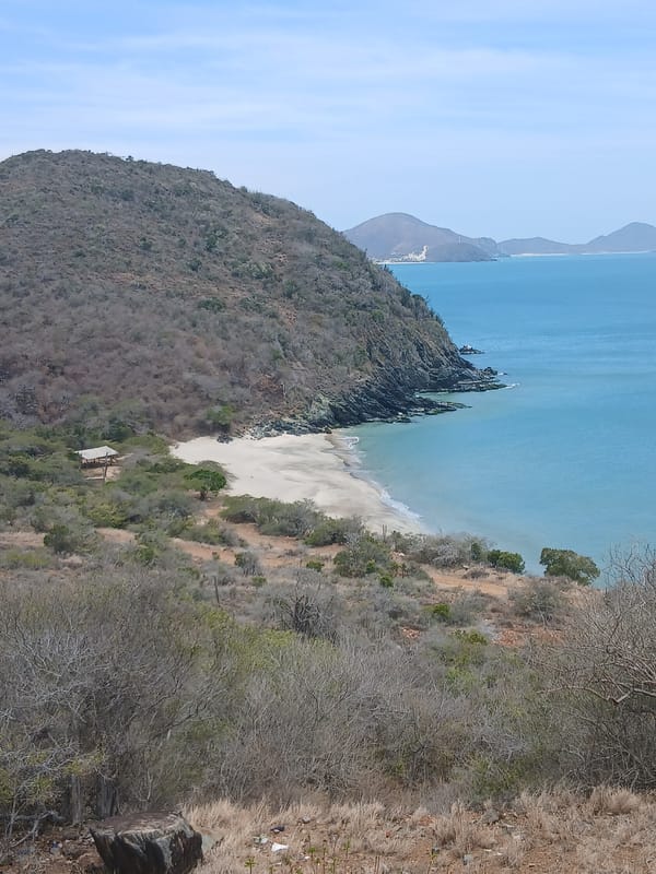 Coastal landscape photographed at Manzanillo bay, Venezuela