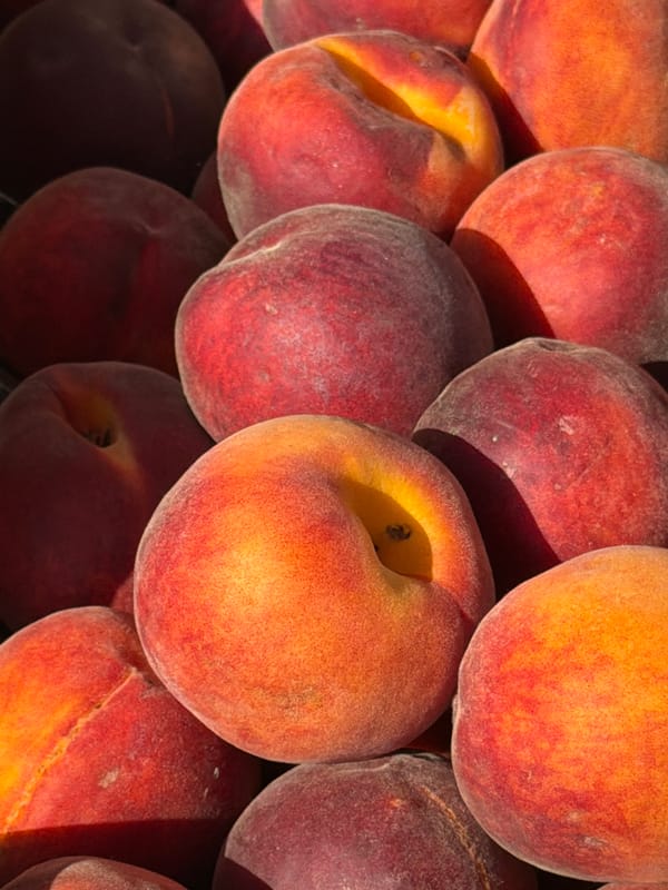 Ripe summer fruit on display at a Yekaterinburg market