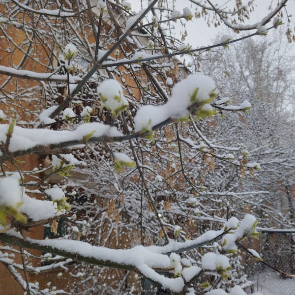 Woman enjoys unexpected April snowfall in Yekaterinburg