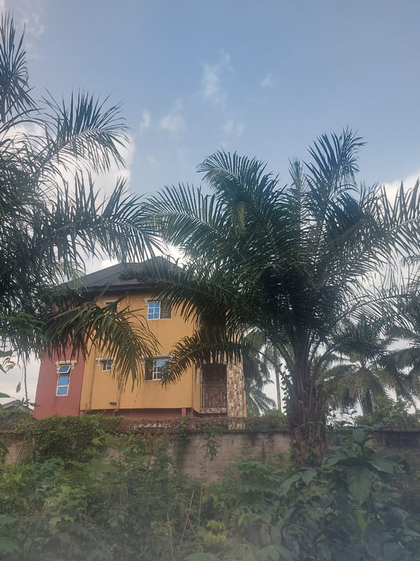 Daily life documented in residential Aba, Nigeria neighborhood