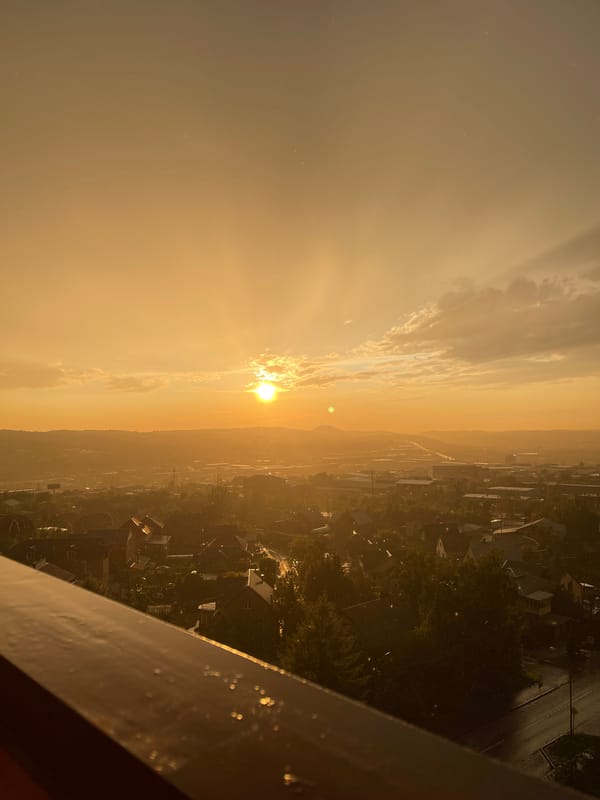 Kitten meets golden hour on a Krasnoyarsk balcony