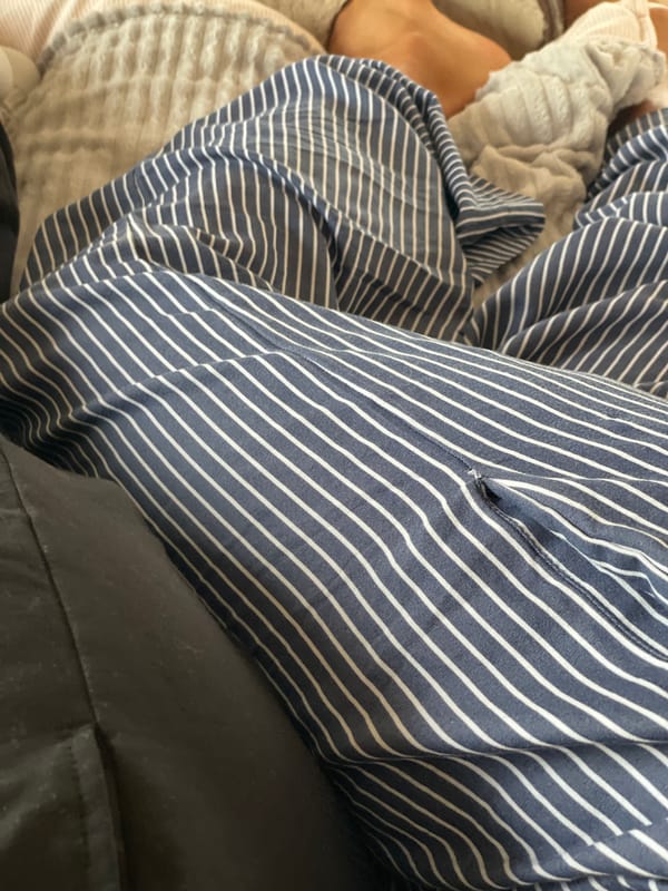 Quiet Sunday morning captured in Sestroretsk household scenes