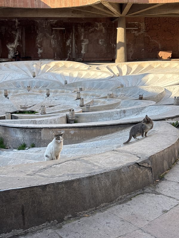 Cats spotted lounging at Yerevan's Cascade complex