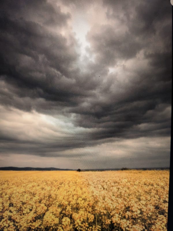 Witness captures varied landscape and historical scenes over four minutes