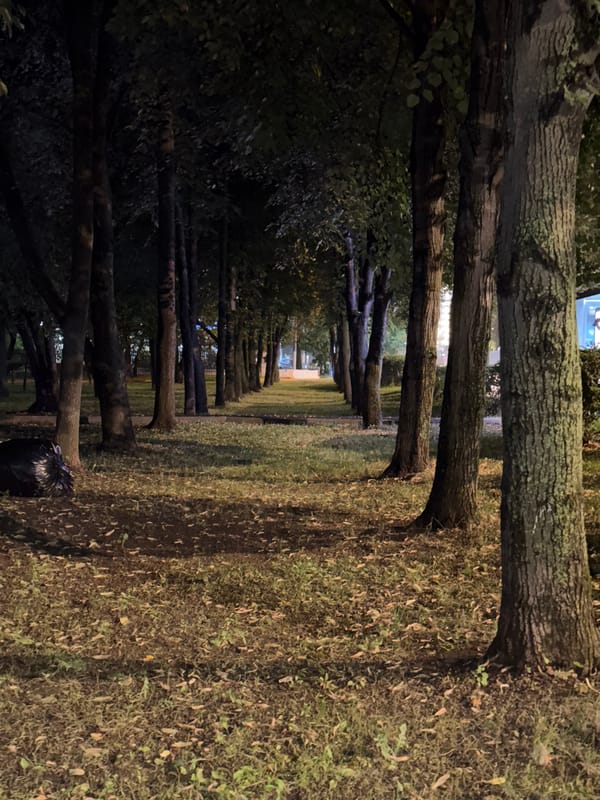 Moscow park at night, flowers and a glowing imperial emblem