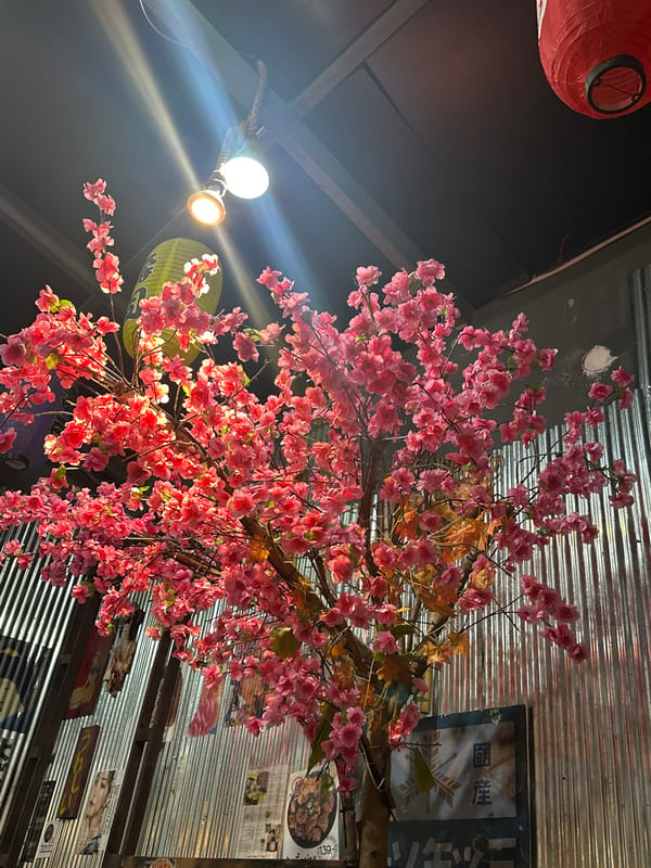 Japanese dining experience documented in Pattaya restaurant