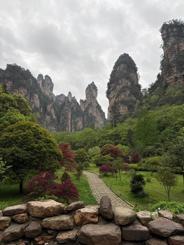 Tourist captures Zhangjiajie's towering rocks under overcast skies