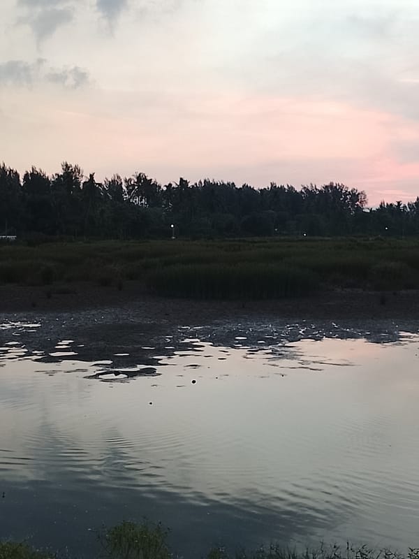 Wetland dusk light along the rural edges of Aceh