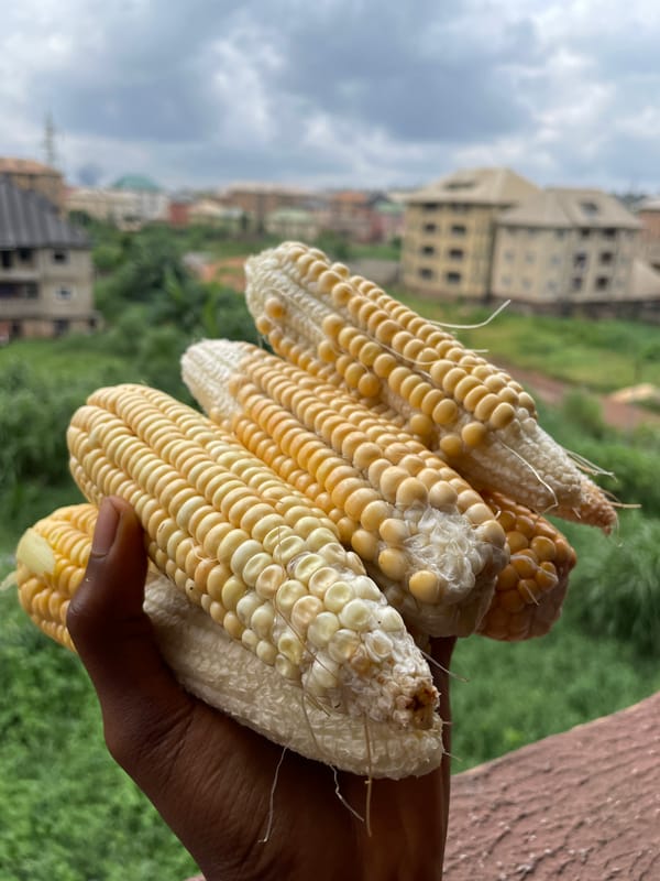 Fresh corn, market fruit, and a ground collapse in Nkpor