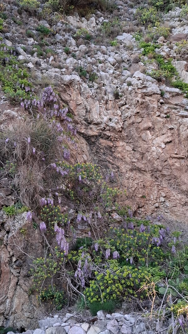 Sunset and landscape views documented in Podličak, Montenegro