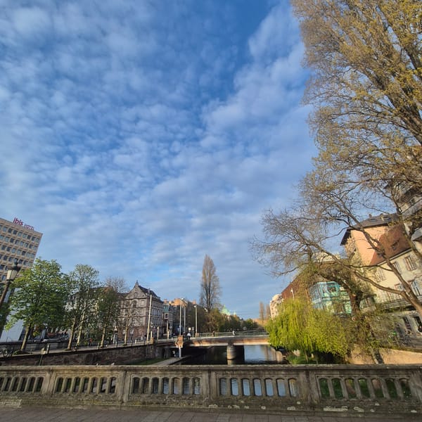Tourist captures Strasbourg canal and hotel district views