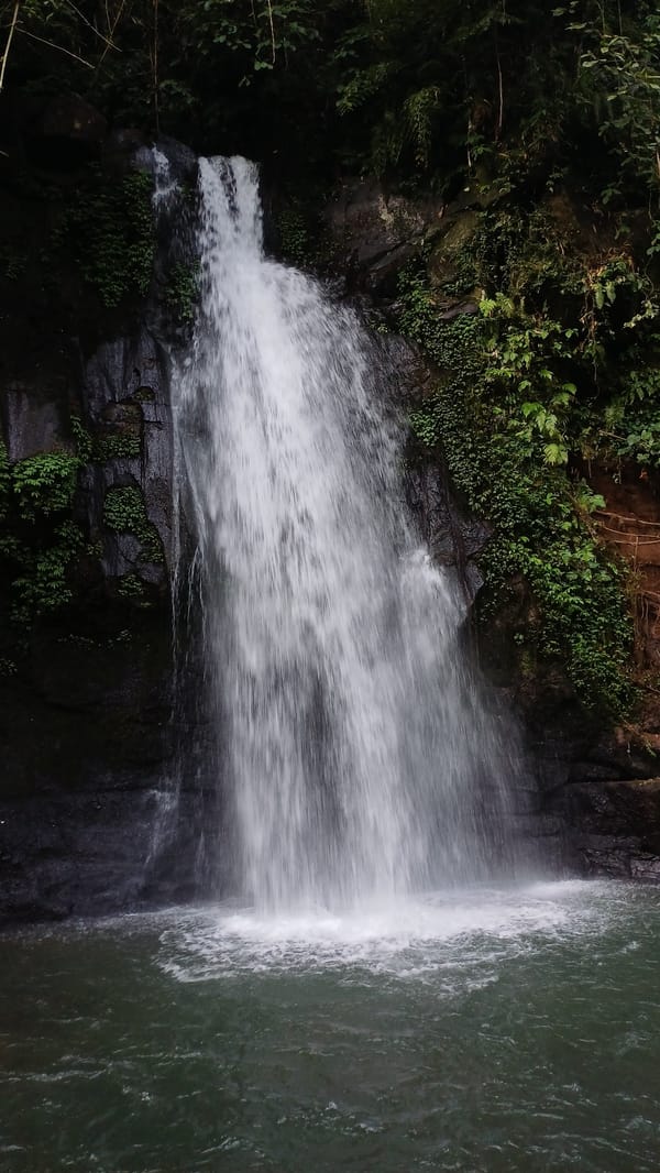 Waterfall photographed amid lush vegetation in Tegallalang, Indonesia