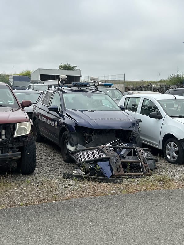 Witness documents impound lot, insect at same location