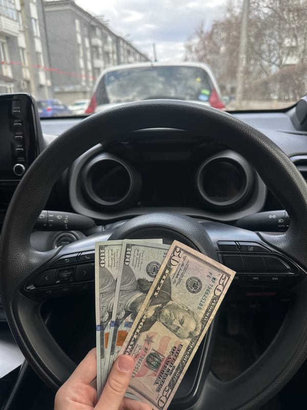 Person handles US dollars, wallets inside car in Irkutsk