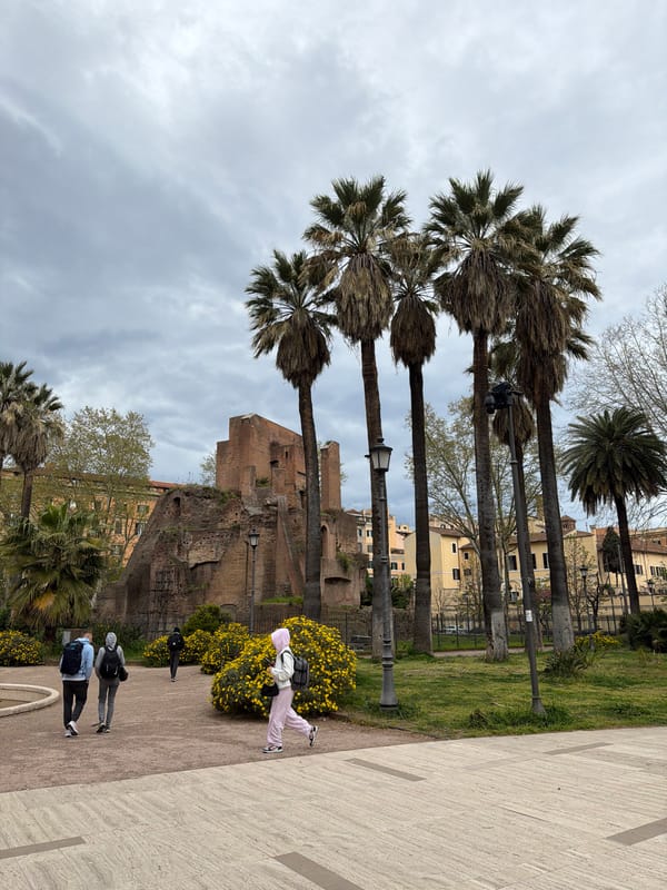 Palm-lined street scene near ancient ruins in Rome