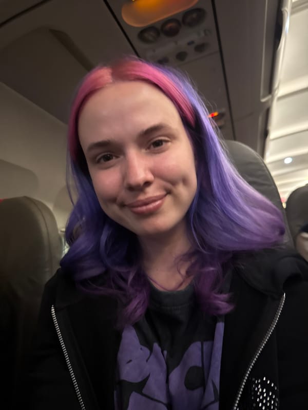 Pink-haired passenger spotted on aircraft in Zagreb