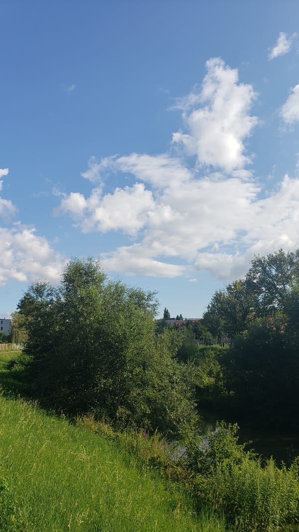 Summer morning across Prešov — parks, rivers, and city streets