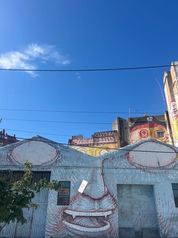 Street art murals documented across Barcelona neighborhoods