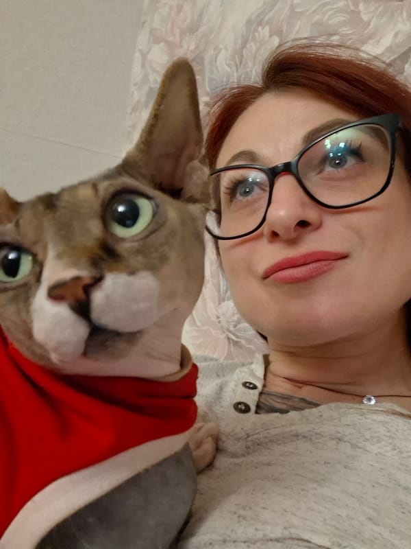 Cats playing and bonding indoors in Belarus home
