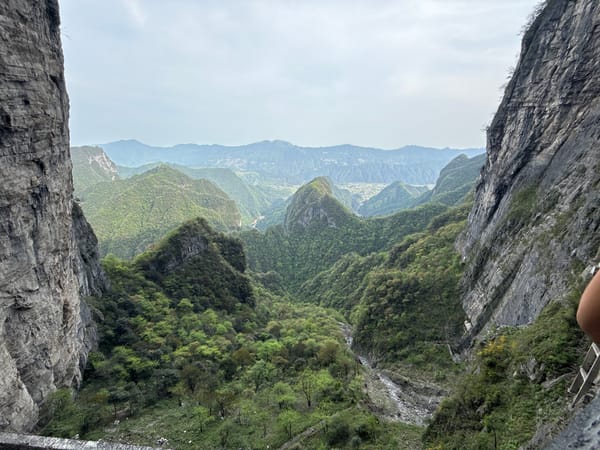 Scenic mountain vista captured at Zhangjiajie National Forest Park
