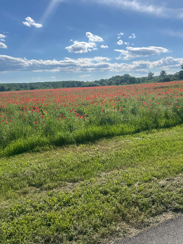 Elhovo, Bulgaria