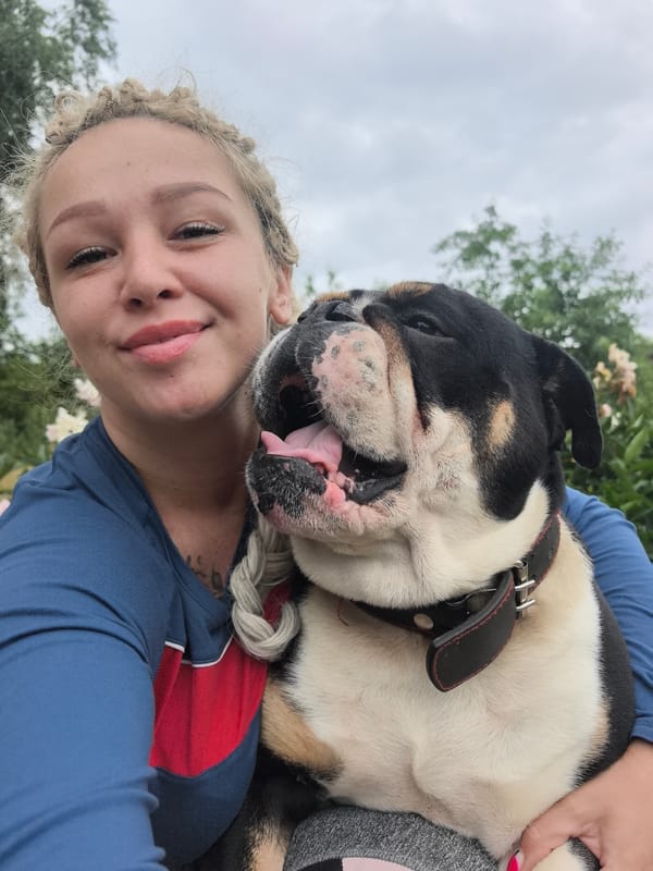 Bulldog and owner enjoying a morning outside in Noviy