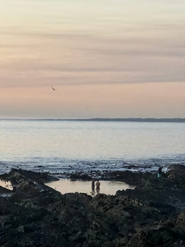 Cape Town residents enjoy sunset stroll along coastal promenade