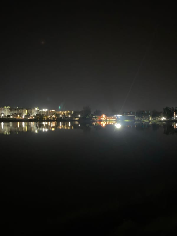 Geese gather by illuminated waterfront building in Thailand nighttime scene