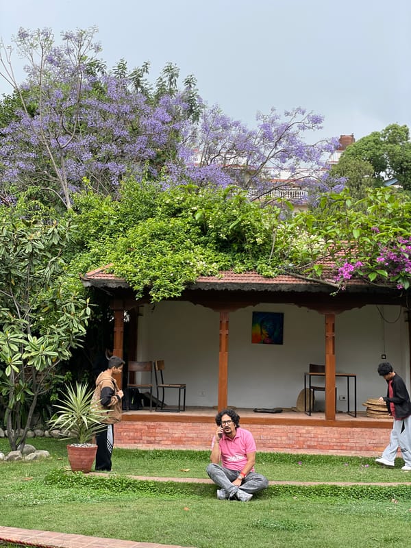 Morning garden scenes documented in Kathmandu traditional courtyard