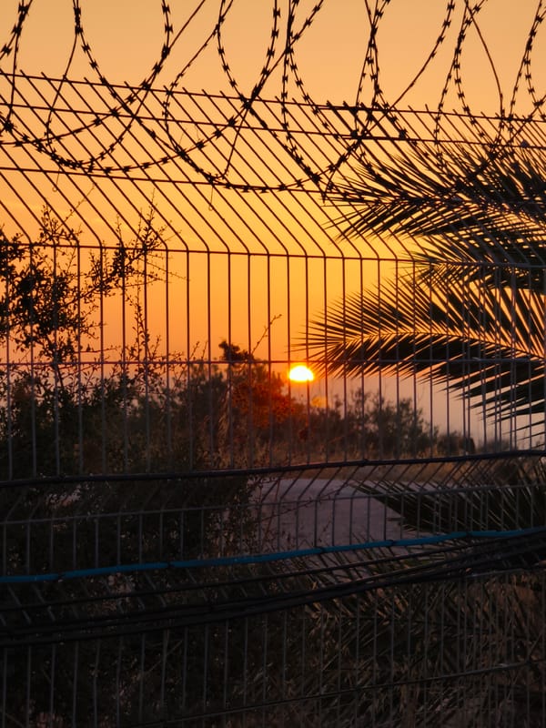 Sunset observed through fencing in Lachish Regional Council, Israel