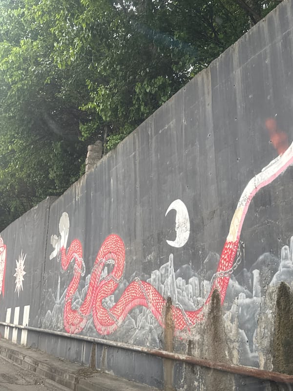 Street art documentation captured across central Tbilisi underpasses